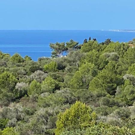 Holiday Home Finca Sant Jaume Алайор Экстерьер фото